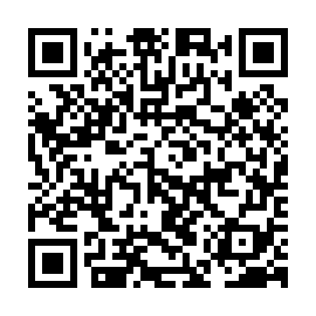 QR code for NES079