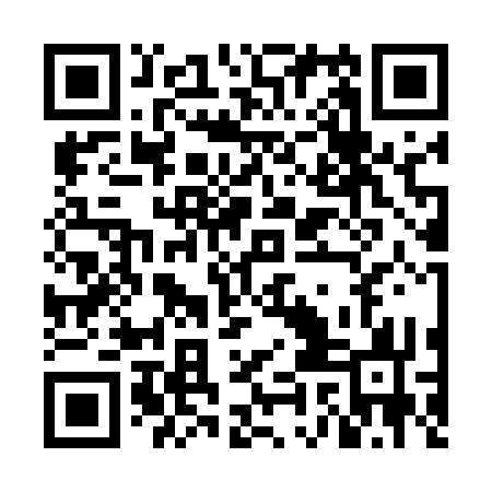 QR code for NIC533