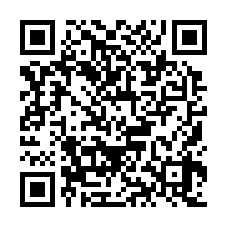 QR code for NII338