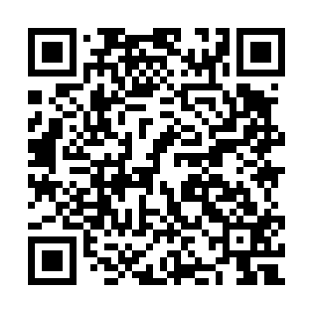 QR code for NJI413