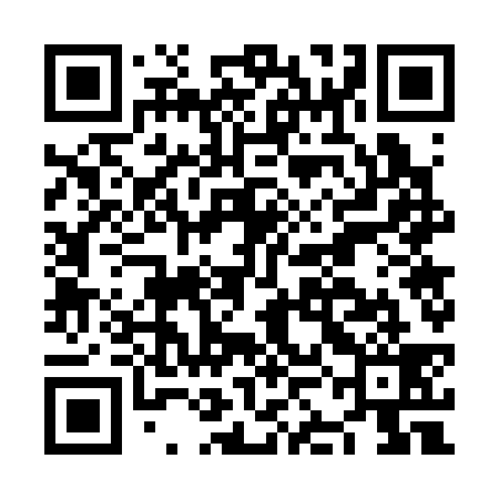 QR code for NKG339