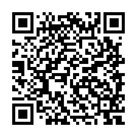 QR code for NLN196