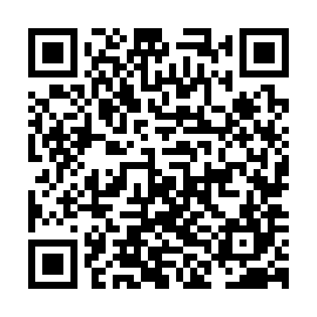 QR code for NLN384