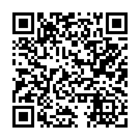 QR code for NLX493