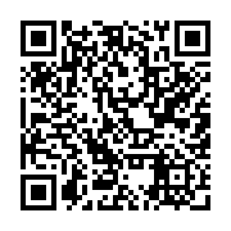 QR code for NMU339