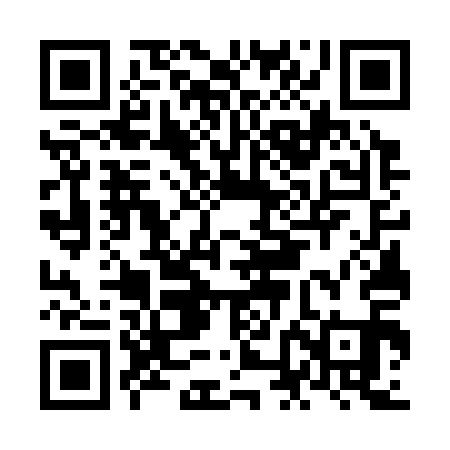 QR code for NNG311