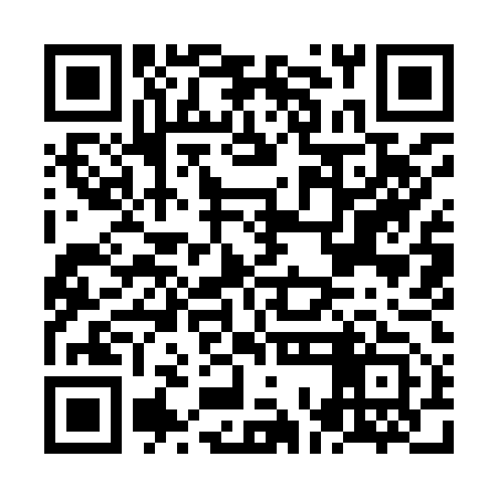 QR code for NOI953