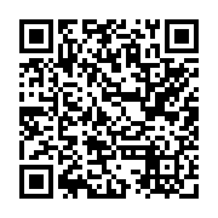 QR code for NSA228