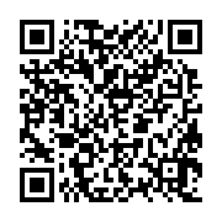 QR code for NSG386