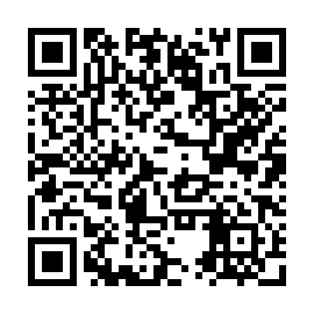 QR code for NUR381