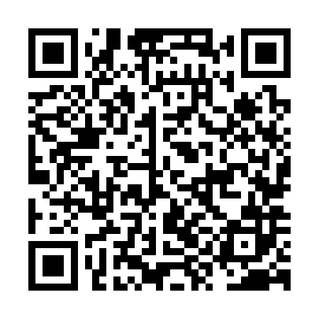 QR code for NYN382