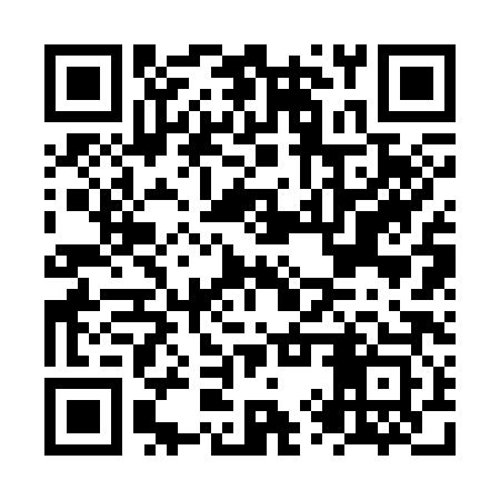 QR code for NYR383