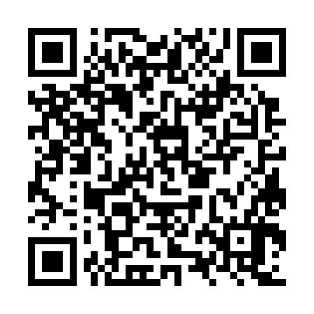 QR code for NZG386