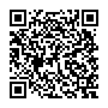 QR code for ODG611