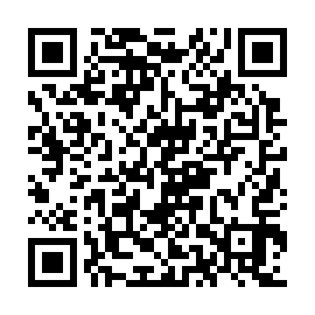 QR code for OEZ313