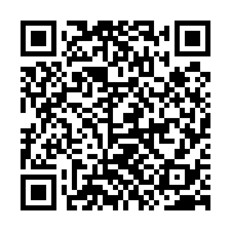 QR code for OSG538