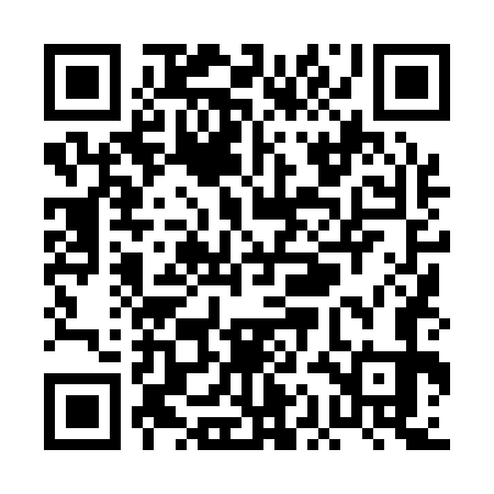 QR code for PAL173