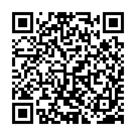 QR code for PAS393