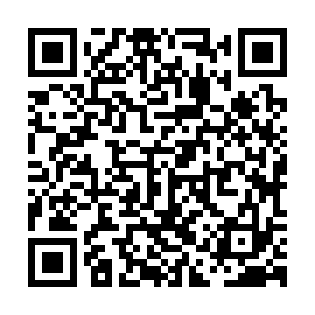 QR code for PAZ333