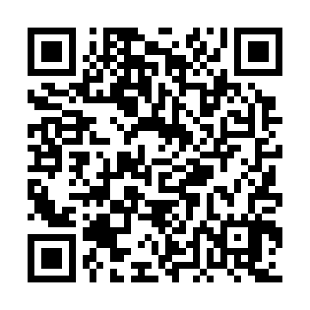 QR code for PDD307