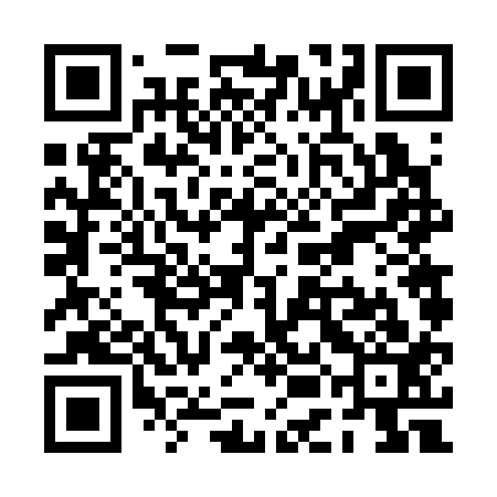 QR code for PEF313