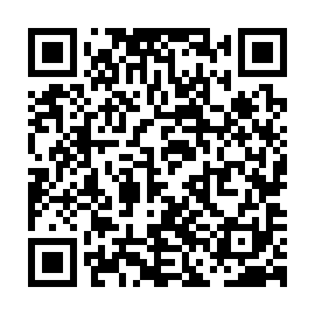 QR code for PFN391