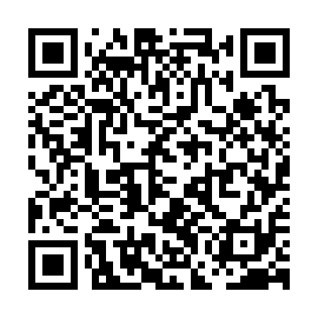 QR code for PGG311