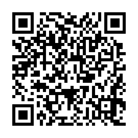 QR code for PGN377