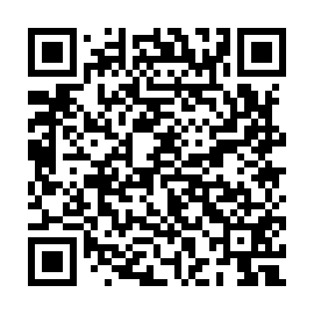 QR code for PHA951