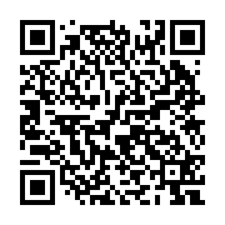 QR code for PIC221