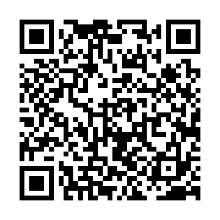 QR code for PID333