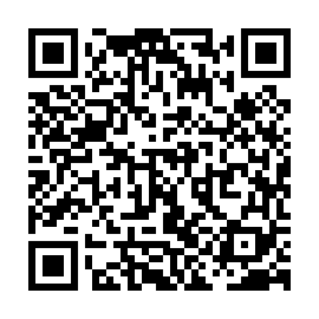 QR code for PII069