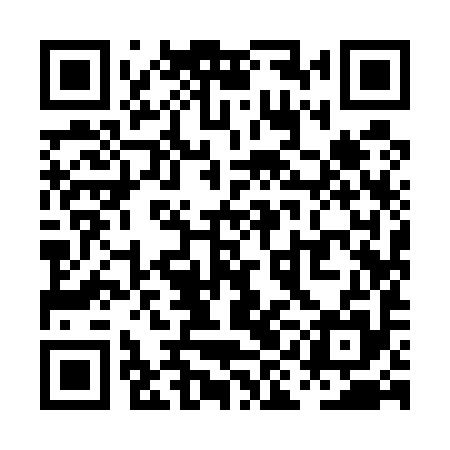 QR code for PII595