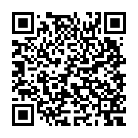 QR code for PIN653