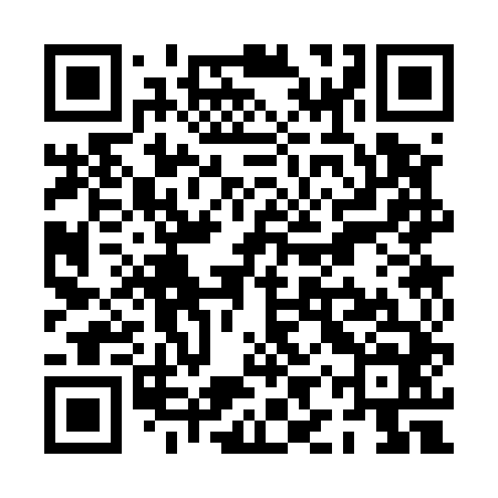 QR code for PIS544