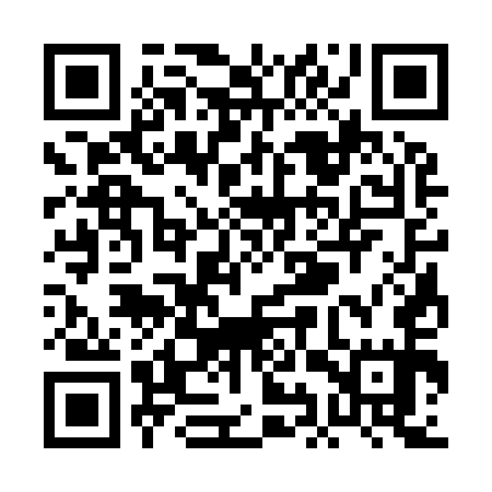 QR code for PIS955