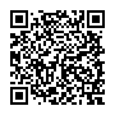 QR code for PIT591