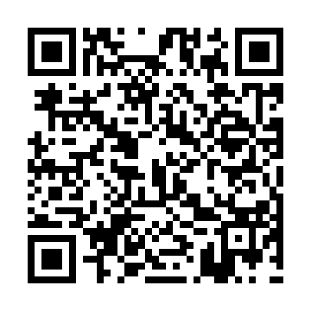 QR code for PIU913
