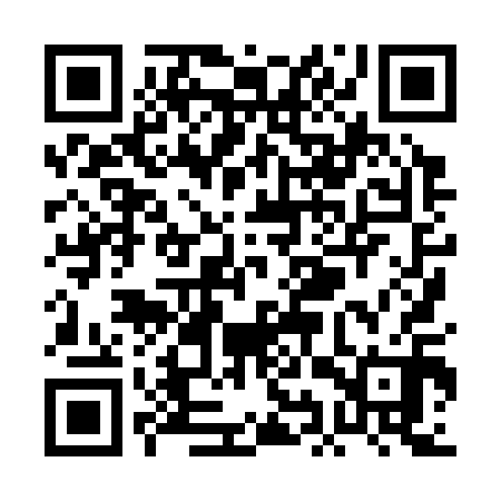 QR code for PIX310