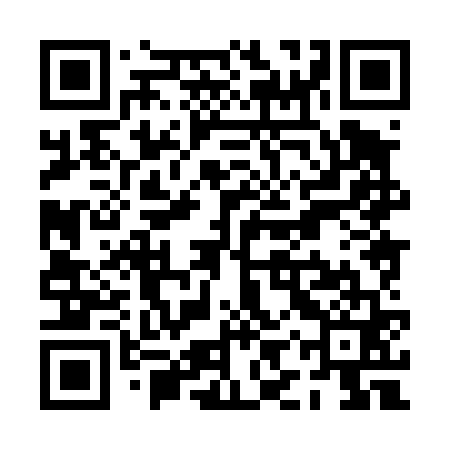 QR code for PIX461