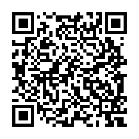 QR code for PKL393