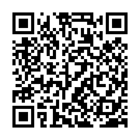 QR code for PKQ438