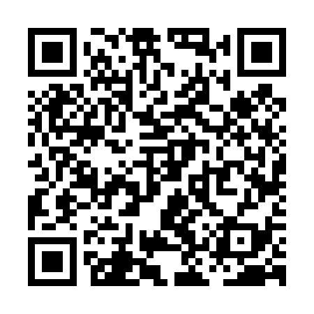QR code for PKV439