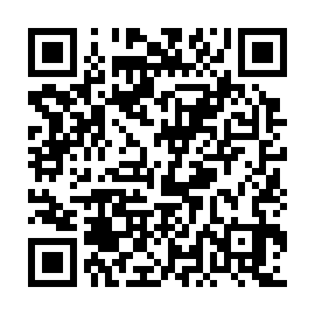QR code for PLN333