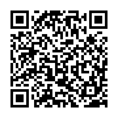 QR code for PLZ994