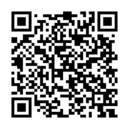 QR code for PMS533