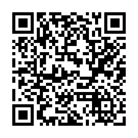 QR code for PNK335