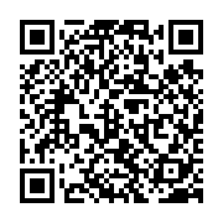 QR code for PNS628