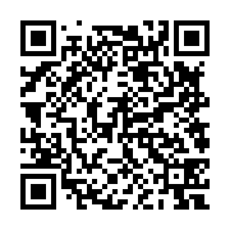 QR code for PNV838