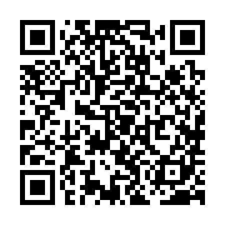 QR code for POH381